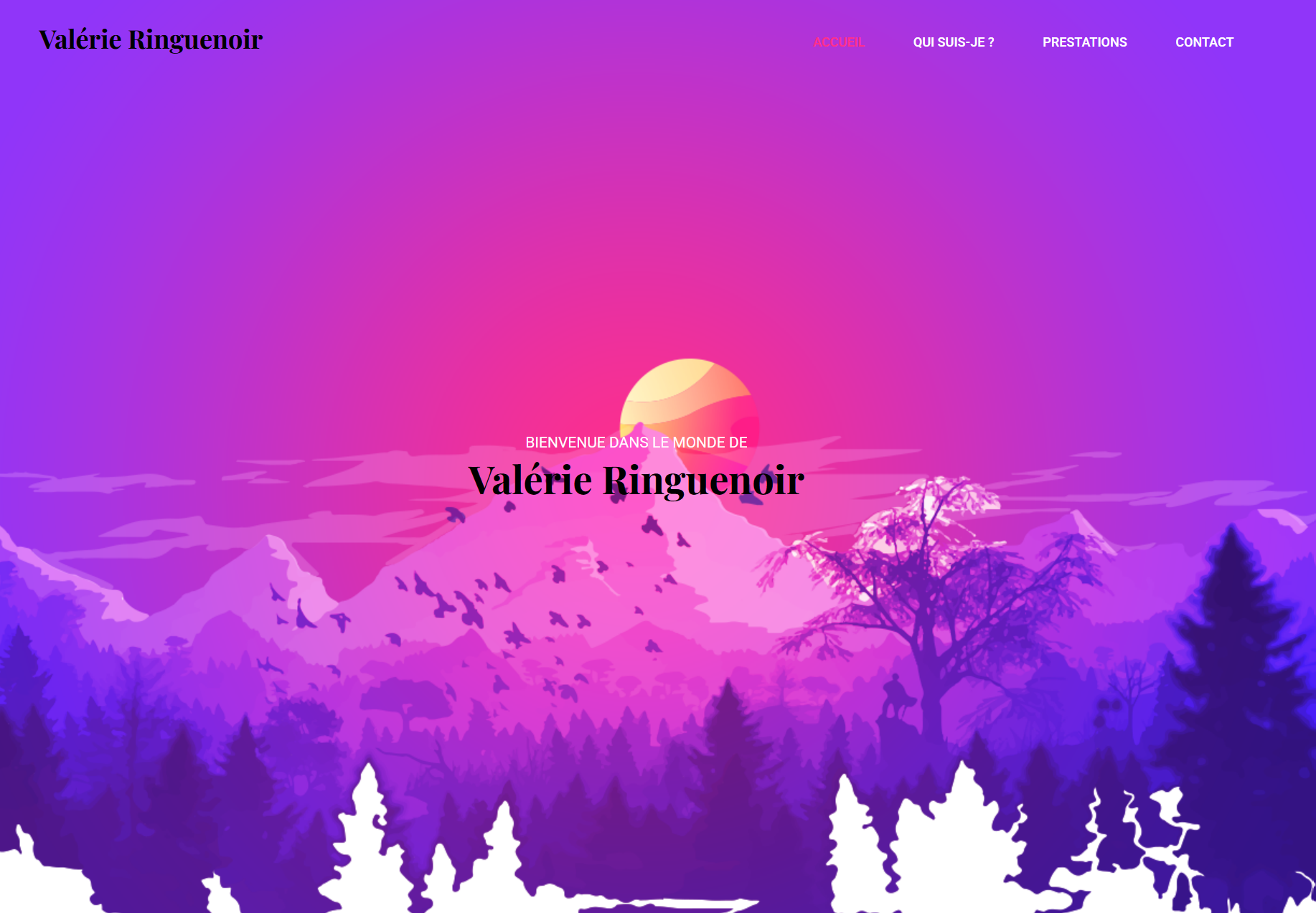 Projet Valérie Ringuenoir